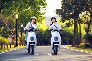 4月15日后電動(dòng)車、三輪車上牌指南 你最關(guān)心的問(wèn)題都在這